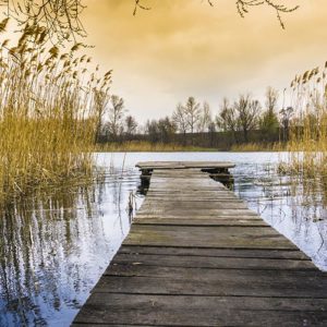 Backdrop: Sonnenuntergang am Steg mit Schilf